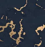 slider img 8